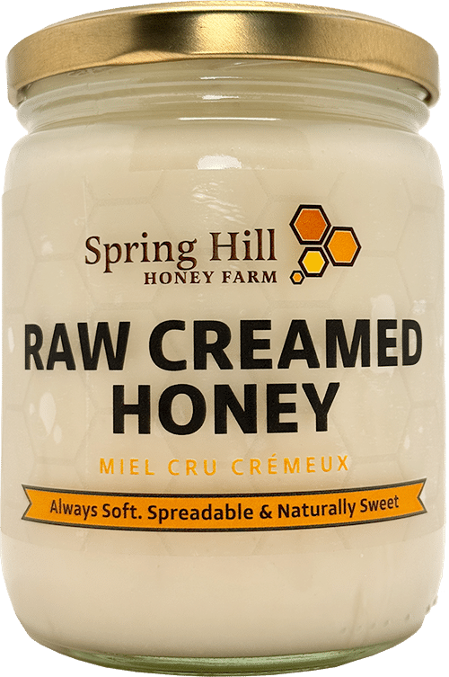 Featured image for “Spring Hill Honey Farm’s Raw Creamed Honey 🍯 (600 grams)”
